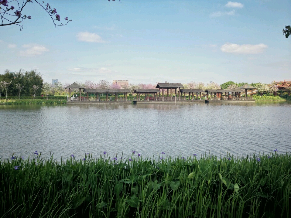 海珠湖国家湿地公园钓鱼,海珠湖国家湿地公园开放时间