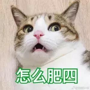 三分钟法治新闻全知道,三分钟法治全知道