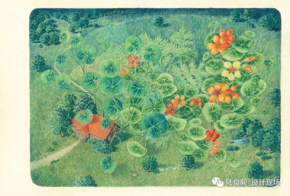 国际获奖26本绘本,2019年最佳绘本