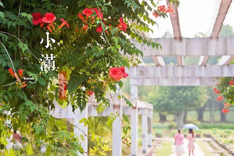 致东湖：你的美不只在绿道二期，从四季路过都会被你惊艳