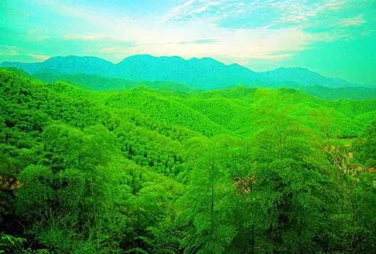 武汉2020五一周边自驾一日游,武汉五一自驾周边游推荐2022