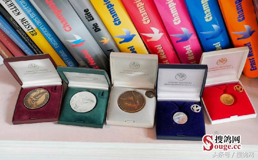 搜鸽网信息,赛鸽资讯知识分享