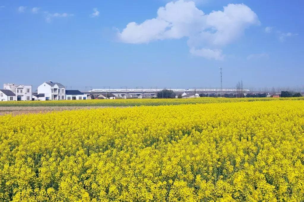 三年评先进,湖北表扬的10个县