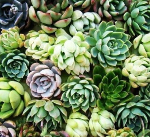 身在天涯心在咫尺情在心里,身在天涯心在墨里是什么意思