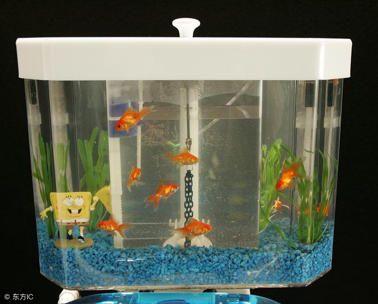 家里鱼缸的摆放位置有什么讲究,做生意鱼缸摆放位置