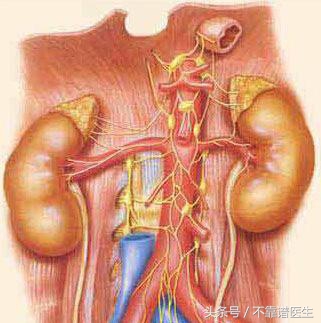 膜性肾病综合征症状,膜性肾病的症状有哪些