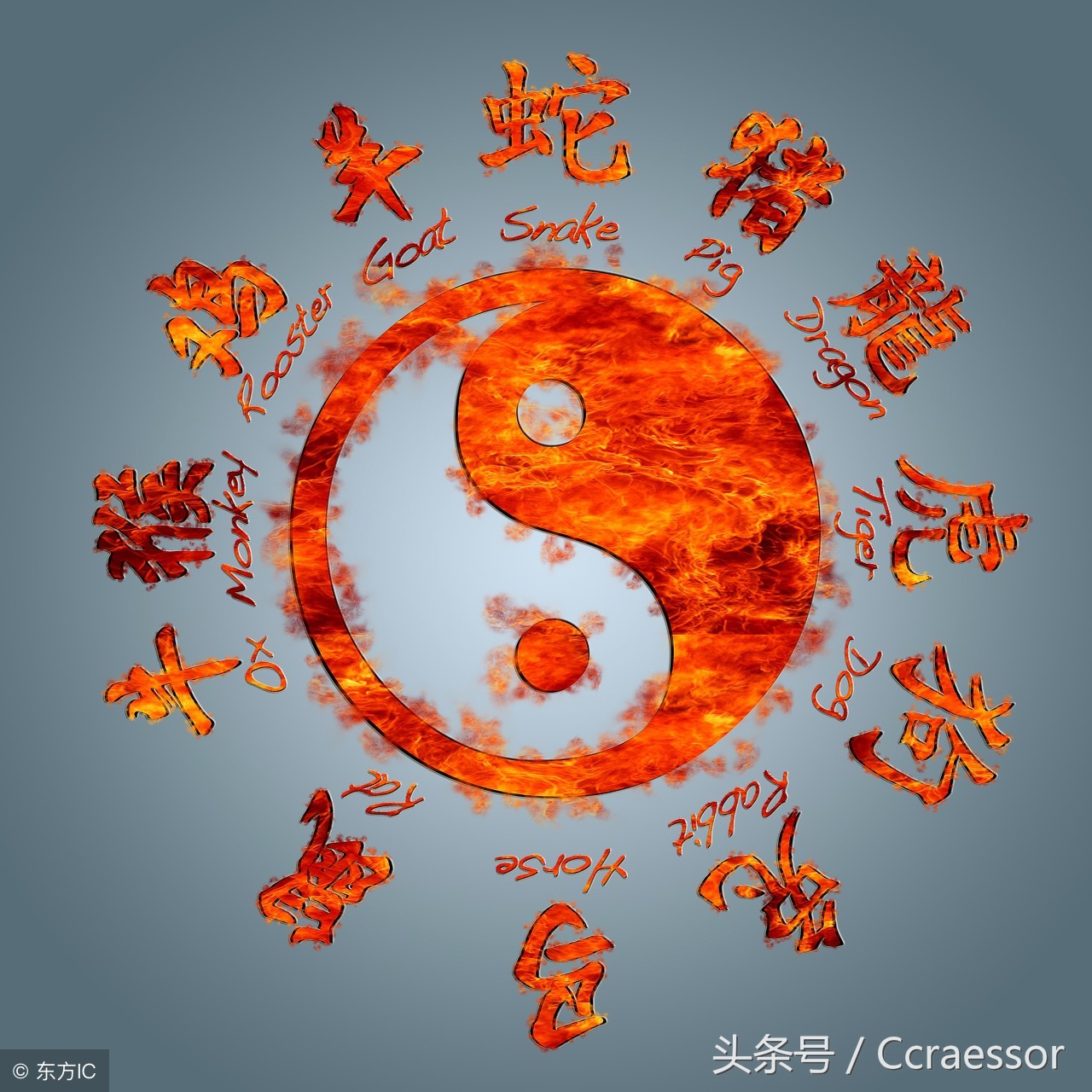 选楼层看生肖还是看五行,选楼层根据生肖选还是根据五行选