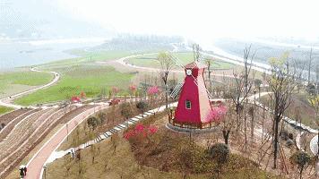 雅安桃花岛桃花开了没有,雅安桃花岛景区