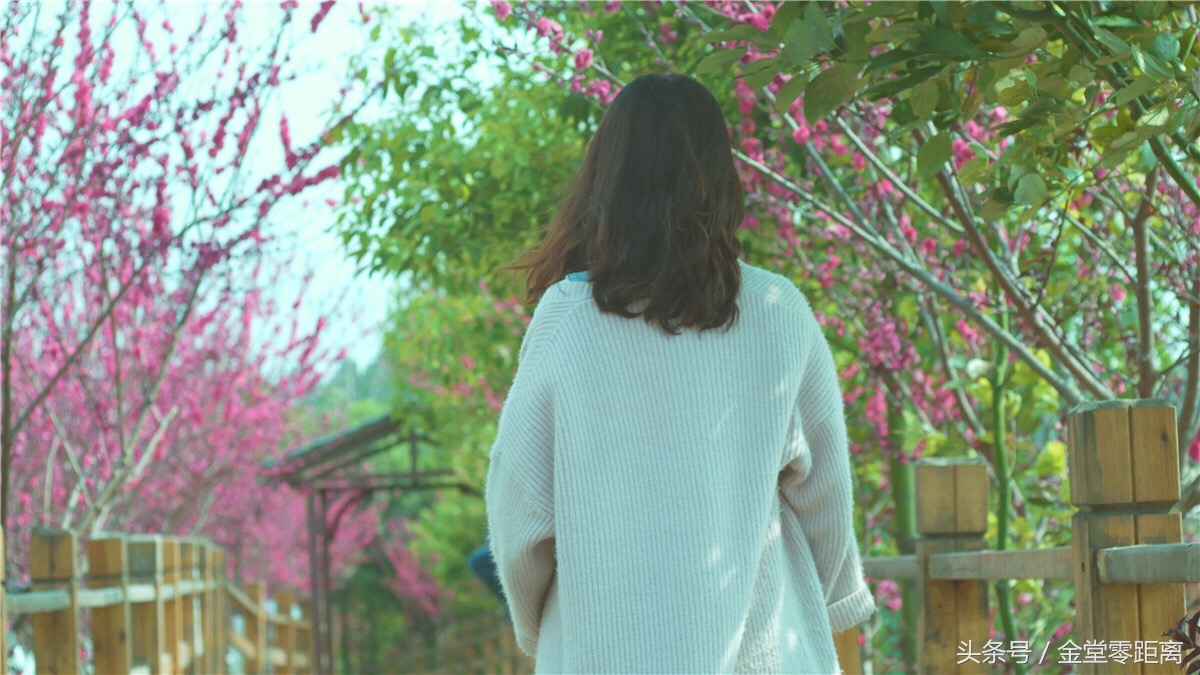 金堂玉皇山生态康养,金堂县玉皇养生谷详细介绍