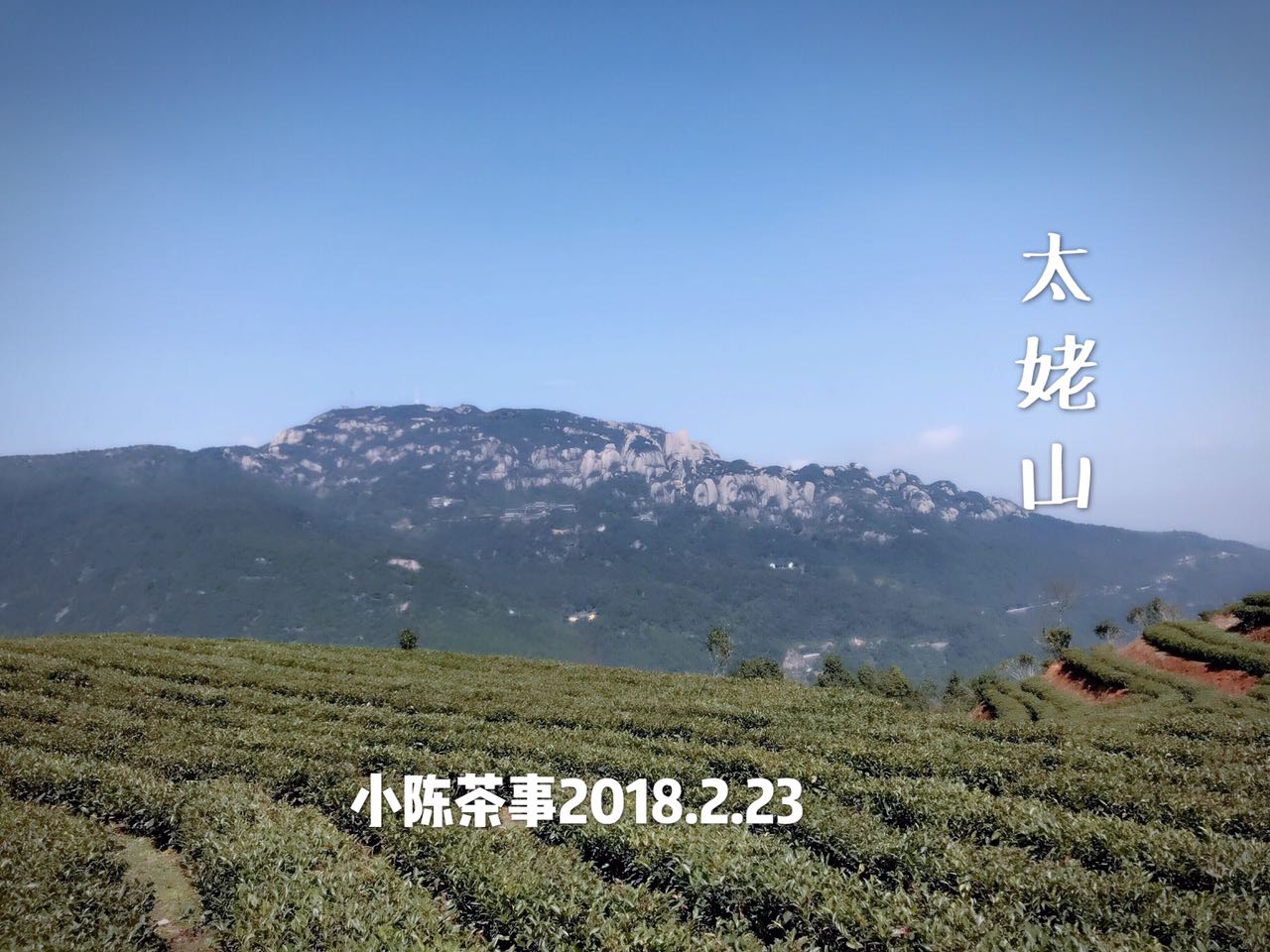 什么样的白茶好喝,一款好的老白茶是什么口感