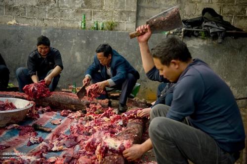 彝族丧葬的习俗视频,彝族丧事习俗视频