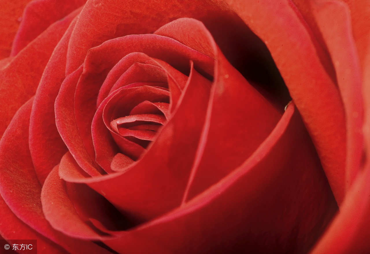 踩着碎碎的感伤，闭上眼帘，记不起你完整的笑容