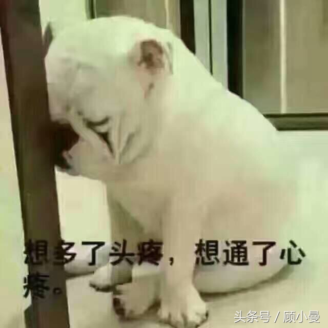 周公解梦梦见狗的寓意,周公解梦梦见狗怎么回事