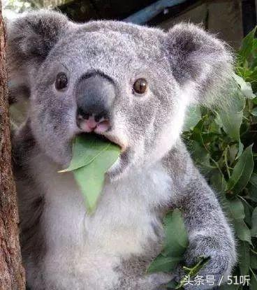 男孩头皮无缘无故很痒是怎么回事,12岁男童头皮发麻会疼是怎么回事