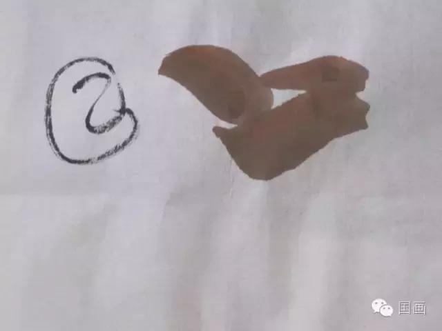 国画鸟的画法初学者,鸟的眼睛画法国画