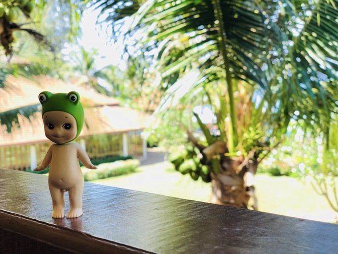 7月厦门到曼谷旅游,5天4晚自由行曼谷