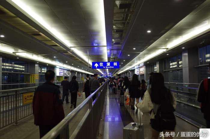 他们早出晚归来往于深圳香港,少则月入万元,多则年入百万