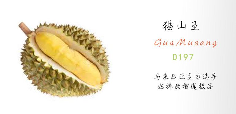 买榴莲别被忽悠了