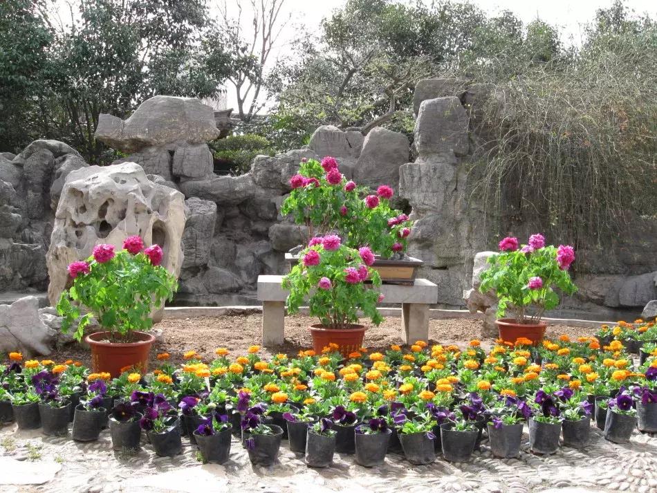 洛阳鹰嘴山沿黄公路自驾游攻略,洛阳旅游景点攻略最值得去的地方