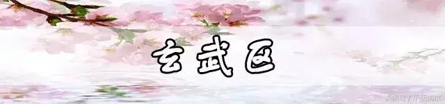 南京赏花季攻略,南京春季赏花时间