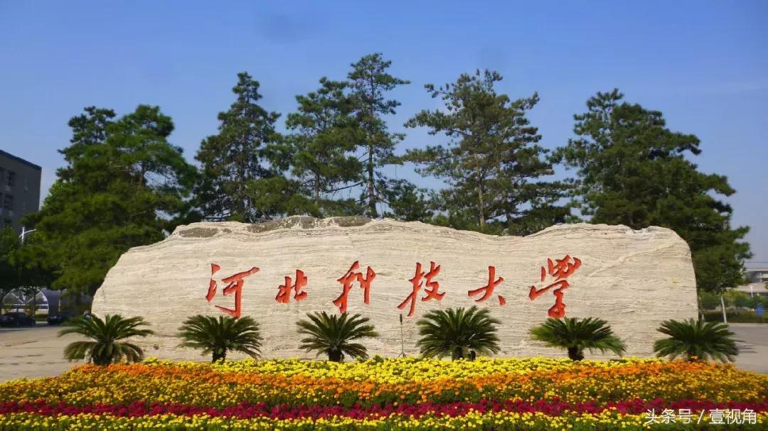 石家庄哪的公园樱花开了,石家庄樱花现在还有吗