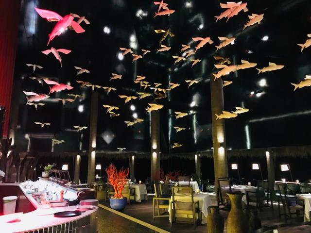 马尔代夫过渡酒店推荐,马尔代夫两大两小酒店推荐