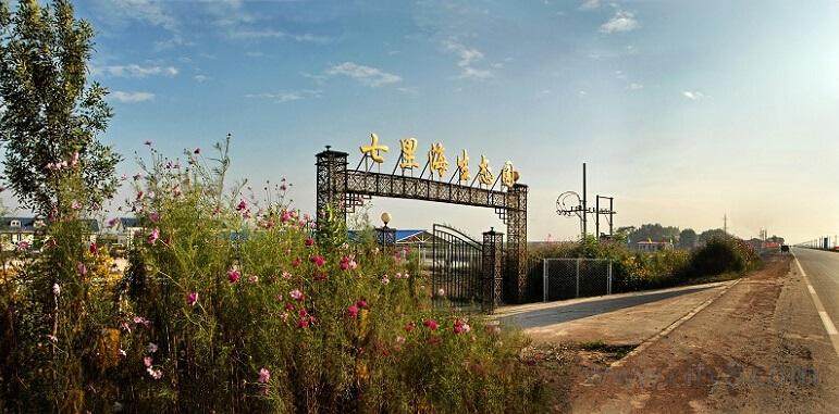 宁河来历,天津宁河旧名是什么