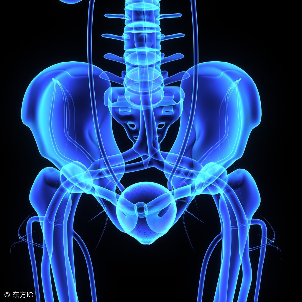 专家多生孩子能延年益寿,高智商女人生的孩子有什么好处