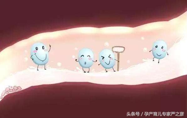 拉肚子放屁肠胃不好吃什么益生菌,拉肚子益生菌有用吗