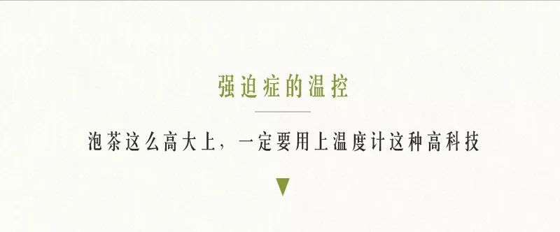 解锁春茶的多种冲泡方式,春茶上市的正确冲泡方法