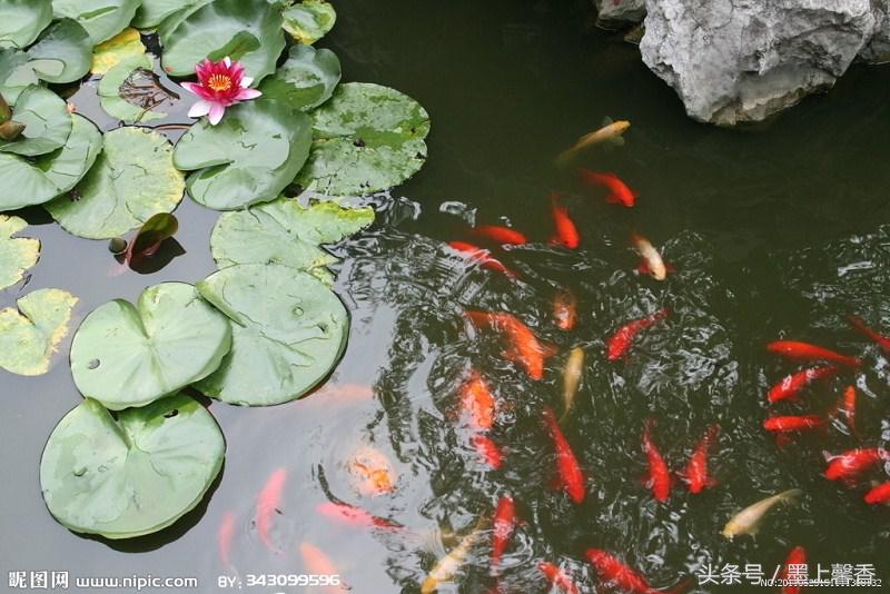 怡人的风景美景,湖南怡人园林