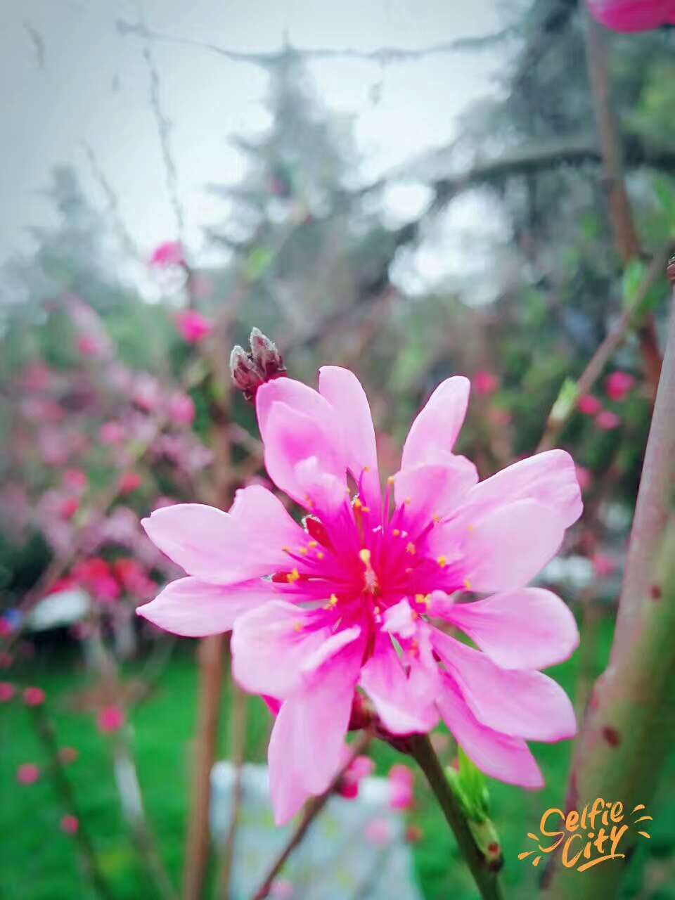 对宜昌的感受,在宜昌生活是什么样的