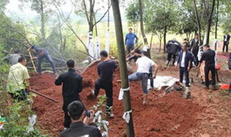 听了别人的话最后害了自己,玄学半夜挖人祖坟的报应