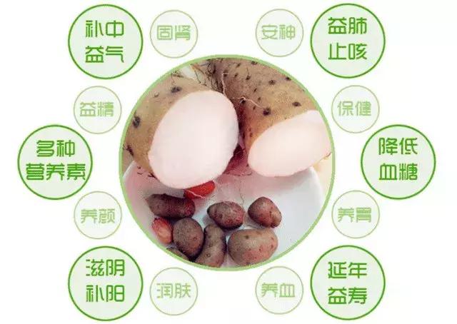 怎么挑出好吃的铁棍山药,怎样挑选最好的铁棍山药