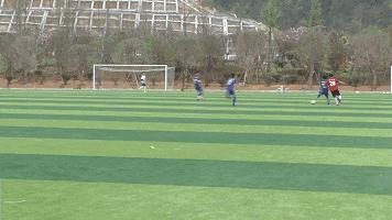 飞奔马路警察,马路奔跑警察