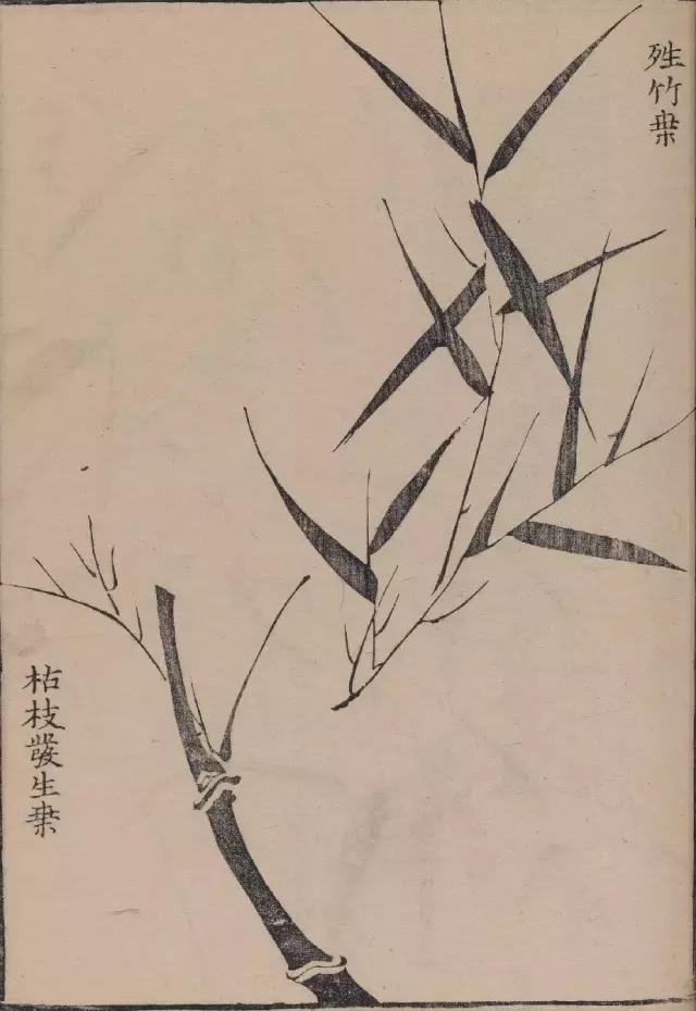 芥子园竹谱高清临摹,芥子园画谱原文