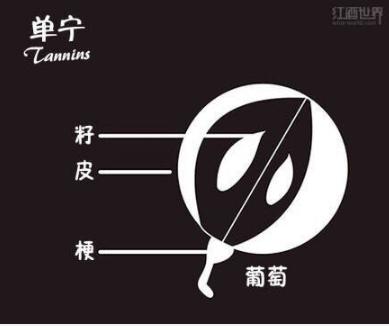 葡萄酒的常识知识大全,有关葡萄酒的知识大全