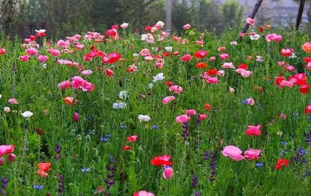 山西太原旅游四天攻略,太原出发摩旅太行山攻略