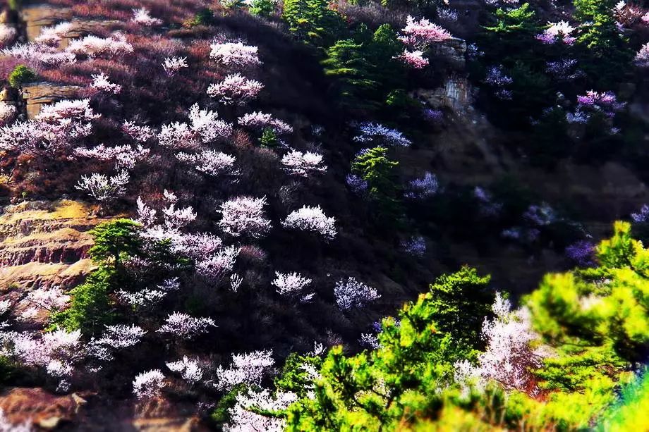 山西太原旅游四天攻略,太原出发摩旅太行山攻略