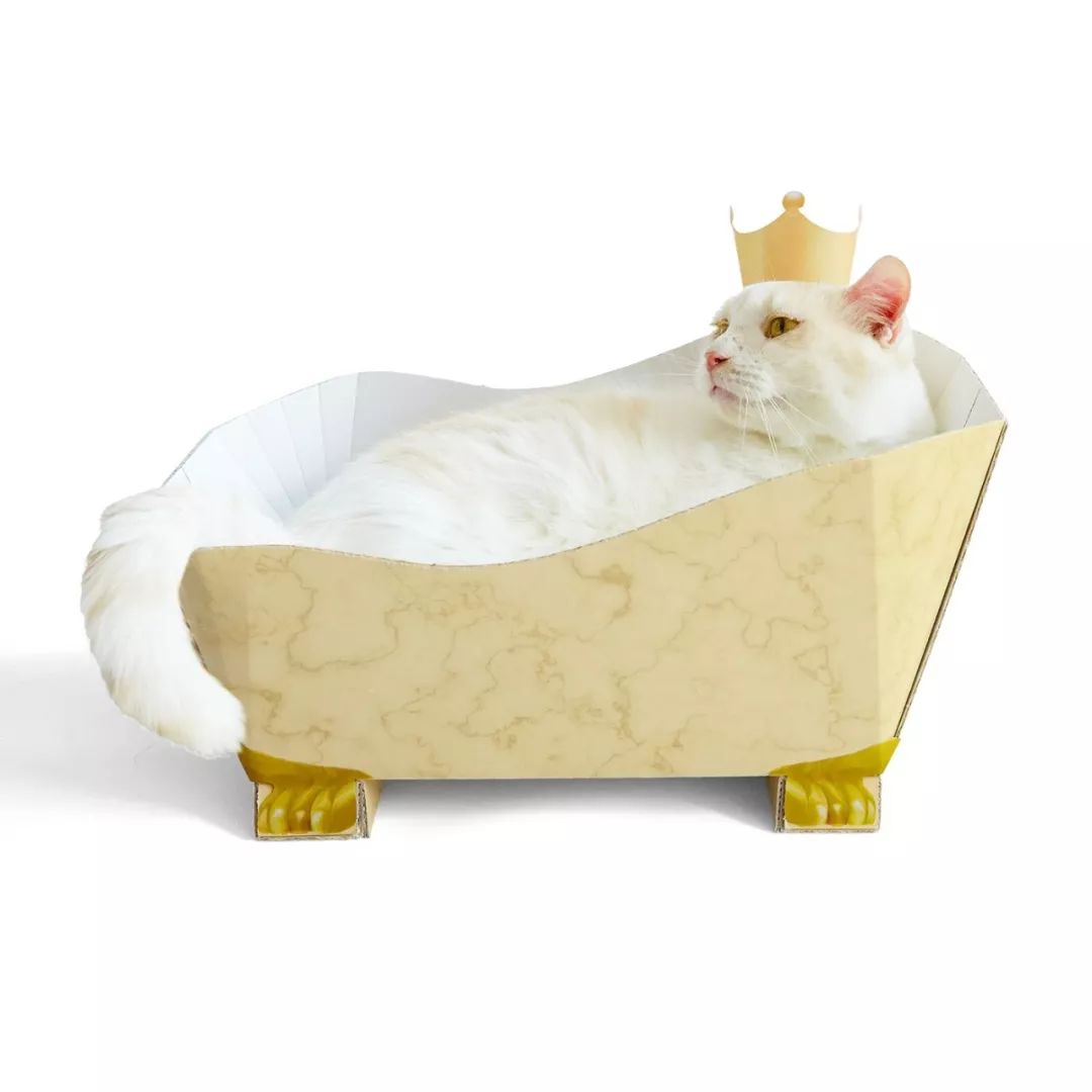 放开我的钱包啊！令猫奴闻风丧胆的种草大会！