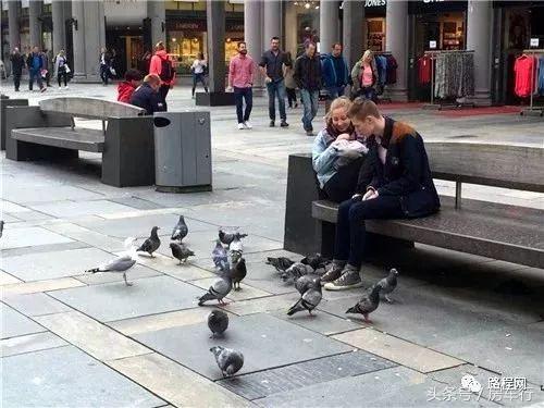 房车旅行真实生活记录,真实的房车旅行生活