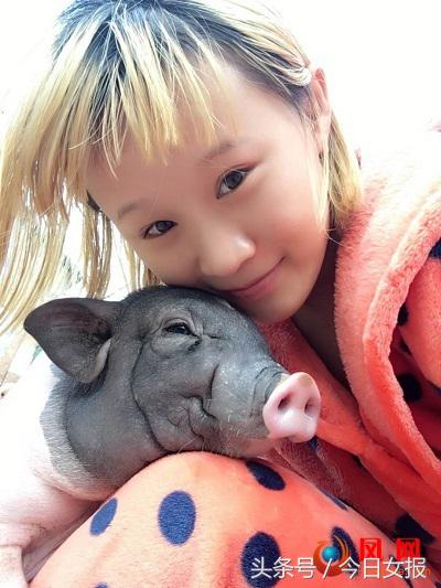 女拳手胡蝶,中国女拳王胡蝶比赛视频