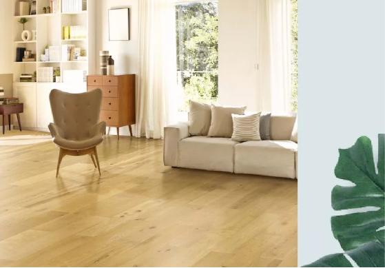 世友、圣都携手“钱塘圣世”，品质钜惠献礼春日健康生活