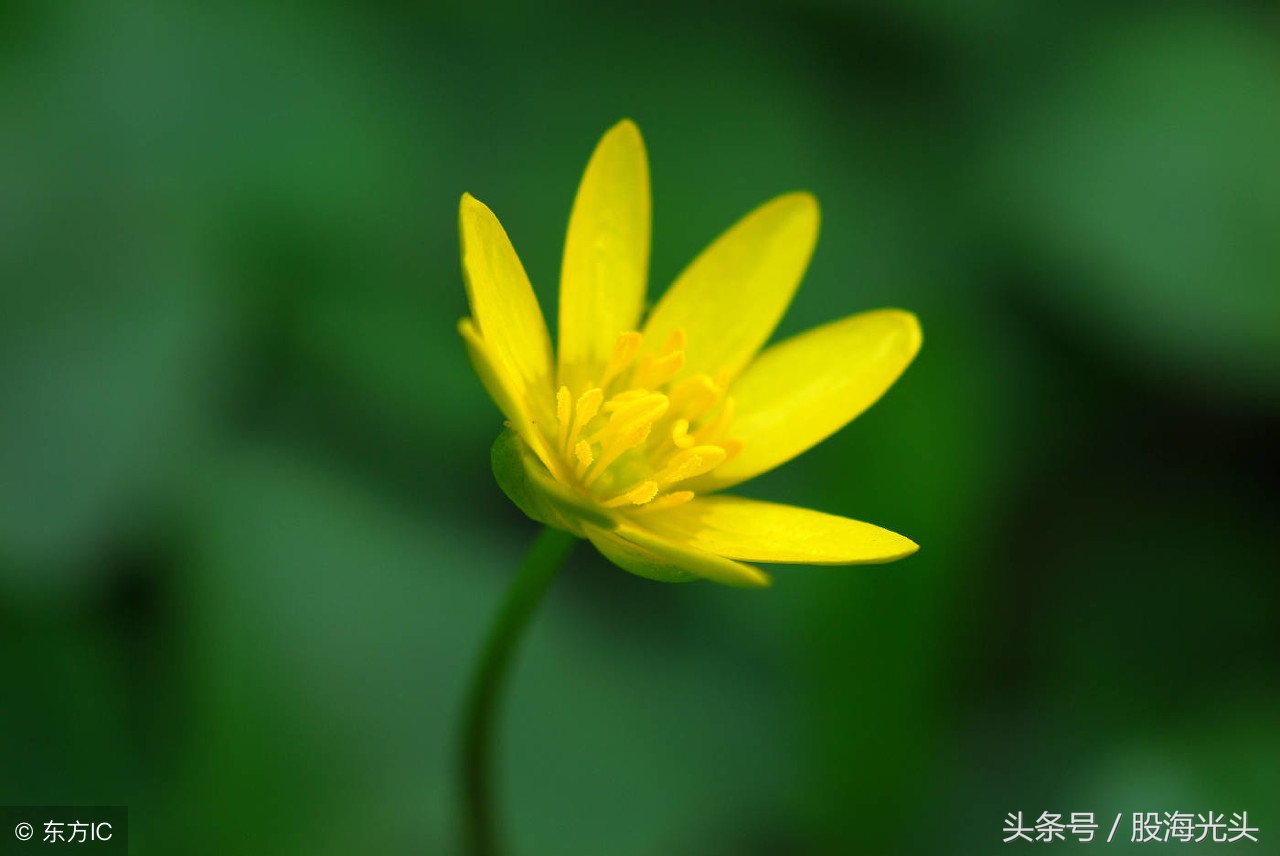 短线强势个股午评,短线尾盘选强势板块