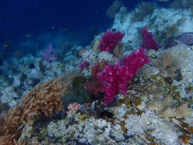 太平洋上的美丽岛屿,太平洋绝美海岛