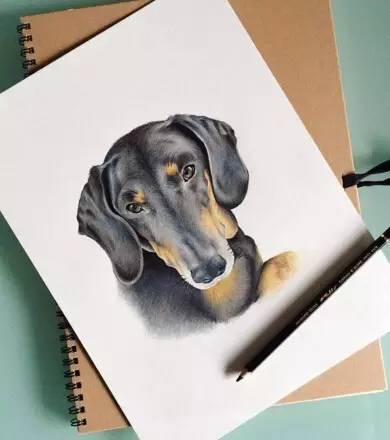 初学者画画的工具有哪些,画画用什么画具比较好