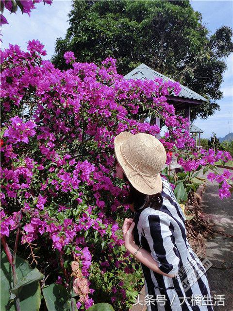 悠哉的沙巴行空气清新重要的是接机仅需1元