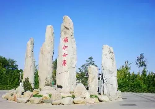 深圳仙湖植物园清明踏青赏花,深圳2022清明能去旅游吗