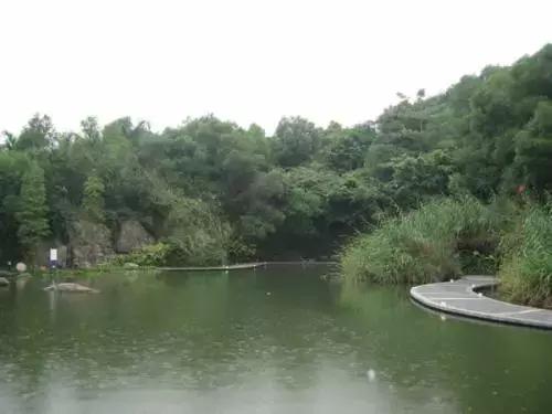 深圳仙湖植物园清明踏青赏花,深圳2022清明能去旅游吗