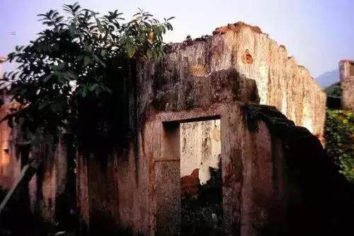 深圳仙湖植物园清明踏青赏花,深圳2022清明能去旅游吗